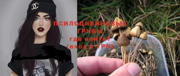 крисы Балабаново