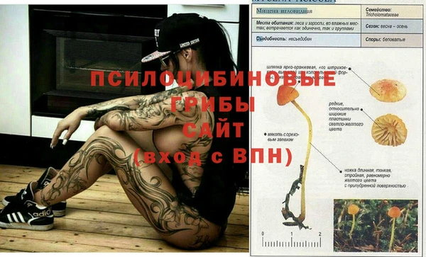 герыч Балахна